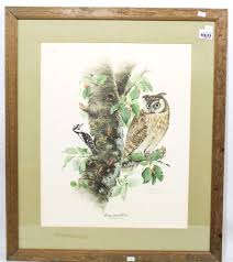 Long-eared Owl" by Don Whitlatch