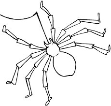 Free printable zentangle spider coloring pages for adults and teens. Free Printable Spider Coloring Pages For Kids