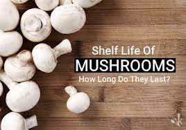 I have bought button mushrooms from two other places and had them in the fridge for up to 2 weeks and they were fine. Do Mushrooms Go Bad How Long Do They Last Kitchensanity
