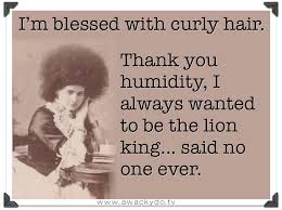 Edoozie Curly Hair Hair Quotes Funny Hair Humor Curly Hair Styles