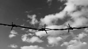È stato scelto questo giorno per commemorare ogni anno la shoah e lo sterminio di oltre 6 milioni di ebrei. Shoah Alle Radici Del Giorno Della Memoria Lo Sterminio Degli Ebrei Che Non Deve Essere Dimenticato Leccenews24