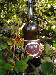 Img 20160706 180914 Aronia Berries Aronia Berry Recipes Aronia