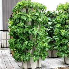 You Can Grow Up To 30 Plants In These Space Saving Vertical Garden Towers Cedar Vertical Garden Vertical Planter Vertical Garden