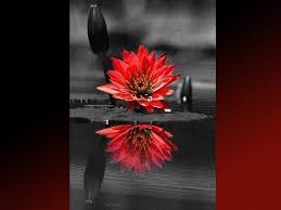 Lady, runnin' down to the riptide / taken away to the dark side / i wanna be your left hand man / and i love you when you're singin' that song and / i gotta lump in my throat 'cause / you're gonna sing the words wrong The Lady In Red Cancin Lady In Red