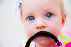 Twin Oaks Photography