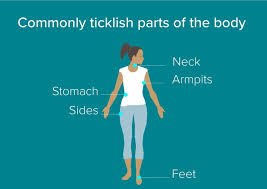 Why Are People Ticklish In 2020 Ticklish Beard Styles Short People