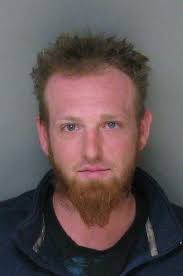 Officers: Dogs couldn't reach food