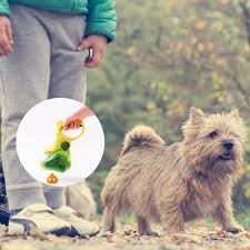 Bookshelves are so personal thanks to the things you choose to display, which is why it's important to find bookcases for sale that will reflect your personality and room décor. Compostable Dog Poop Bags Cornstarch Earth Friendly 120 Counts 17 Micron Astm D6400 Biodegradable Cat Waste Bags Garbage Bag Pooper Scoopers Bags Aliexpress