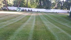 Get the best price and start getting. Lawn Services Lawn Care Services Landscaping Mn Lawn