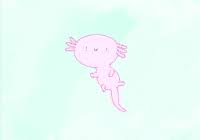#axolotl #axolotls #cute #cutiepiemarzia #felix kjellberg #gif #gifs #marzia #marzia bisognin #mine #my edits #my gifs #pewdiepie #videos #youtube. Axolotl Gifs Get The Best Gif On Gifer