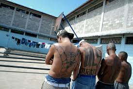 The notorious gang has since expanded to thousands of members and are believed. Ms 13 Is Trump S Public Enemy No 1 But Should It Be Cnn