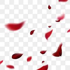 Creative And Beautiful Red Romantic Rose Petals Falling Falling Petal Rose Flower Png Transparent Clipart Image And Psd File For Free Download In 2020 Rose Petals Falling Rose Flower Png Rose Petals