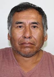 Propiedades de Otorongos Elecciones 2022