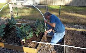 There are also websites that offer greenhouse plans for a price and you may want to check them out as well. How To Build A Hoop House Modern Farmer