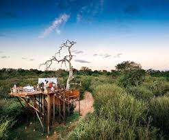 The lion sands game reserve, located at the sabie sand reserve in south africa might be the prefect escape, where you can observe amazing wildlife like lions, hippos, and giraffes in their natural habitat, all while staying in comfortable treehouse with spectacular view. South African Treehouses A Safari Adventure For Your Next B Day