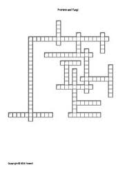 Protists And Fungi Vocabulary Crossword For Middle School Science Middle School Science Science Student Science