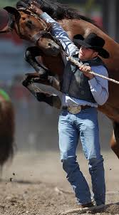 How Bout A Hug There Cowboy Oh My Word I Am Not Sure This Scene Ended Well Horses Cowboy Horse Rodeo Life