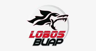 The university and city pueba offer a great experience. Lobos Buap Team Logo Lobos Buap Logo Png Free Transparent Png Download Pngkey