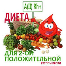 диета по группе крови 2 положительная меню на каждый день Vtoraya Gruppa Krovi Gruppy Krovi Dieta Po Gruppe Krovi Recepty Dlya Pohudeniya