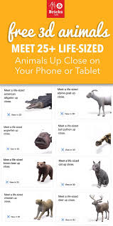 Meet 25 Life Sized Animals From Your Phone Animals Life Knowledge Graph