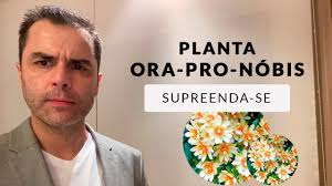 Conheça os benefícios da planta Ora Pro Nóbis