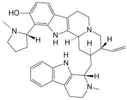 Image result for Strychnos usambarensis