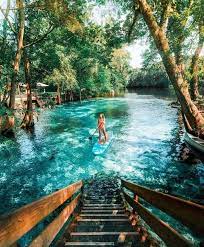 Florida residents over 65 receive a 50% discount on camping fees at all parks, and all of these campgrounds accept pets. Looks Like Such A Magical Place Ginnie Springs Florida Florida Survivalcampingworld Camping Places To Travel Beautiful Places To Travel Adventure Travel