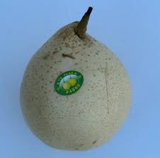 Image result for Pycreus permutatus