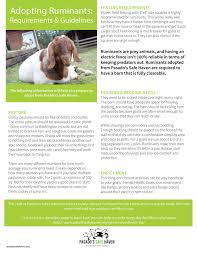 Adoption Guide For Ruminants Goats And Sheep From Pasado S Safe Haven Animal Sanctuary Animal Sanctuary Ruminant Pet Adoption