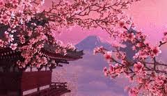 A consumable is an item that is removed from a player's inventory upon direct use. Best Sakura Tree Live Wallpaper Gifs Gfycat