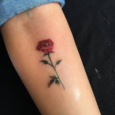You can choose to show love and peace by putting a splendid rose tattoo on the forearm, black ink rose on the upper sleeve of the arm or try a rose flower neck tattoo, shoulder tattoo or back rose tattoo. Red And Green Small Rose Tattoo On Inner Arm For Women