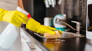 We did not find results for: How To Get Rid Of Ants Around The Kitchen Sink Tips Guide Pest Samurai