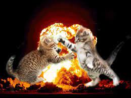 Explosion Kittens Cats Kitten Funny Cats