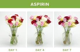 How To Make Flowers Last Longer: 9 Tricks | Proflowers