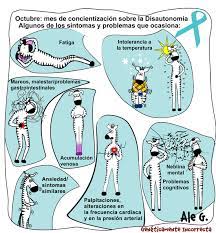 Pero la realidad es que la conversión de etanol a acetaldehído y de acetaldehído a acetato es a expensas de la síntesis de nadh + h. Geneticamente Incorrecta Informacion Sobre Diferentes Aspectos De La Disautonomia En El Sed