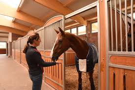 Aachen cdio 5 sterneisabell werth mit bella rose mit ihrer neu eingespielten kür zu italienischer klassik. The Chronicle Of The Horse