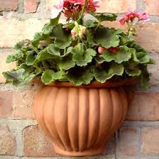 For your garden, we sell a wide range of terracotta, zinc and wooden planters to house your growing plants. Terracotta Wall Pots Terracotta Uk Com Hand Made Uk Terracotta Production