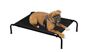 Brandine cane usato in italia | vedi tutte i 23 prezzi! Gusta Obuci Se Kafa Brandine Per Cani Di Taglia Grande Amazon Pioneerbuttonclub Org