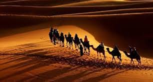 أنس بن مالك بن النضر بن ضمضم بن زيد بن حرام بن جندب بن عامر بن غنم بن عدي بن مالك بن تيم الله. Doa Nabi Untuk Anas Bin Malik Agar Banyak Rezeki Anak Panjang Umur