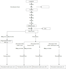 46 True Cake Processing Flow Chart