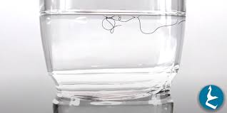 اختبار مسامية الشعر ما هو وما أهميته لشعرك مجلة العزيزة Glassware Tableware