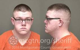 Court documents show Christopher Thomas Clark was charged with counts of  sodomy, sexual abuse and sexual torture.