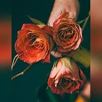 Doris Christine Blakely Peek Obituary