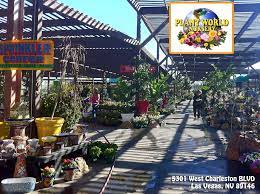 Maybe you would like to learn more about one of these? Plants Trees Blooms Las Vegas Plant World Nursery Plant Nursery World Nursery Spring Garden