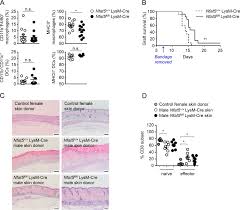 You don't have to have a given name ready before you see your precious little one's face. Macrophage Specific Mhcii Expression Is Regulated By A Remote I Ciita I Enhancer Controlled By Nfat5 Abstract Europe Pmc