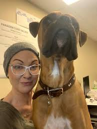 Larry's 5 month performance review with boxer expressions