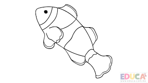 Pez Payaso Para Colorear