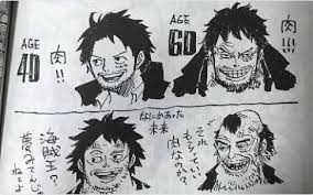 Monkey D Luffy 40 Year S Old