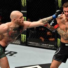 Two division ufc world champion. Izizmtkfibiqlm