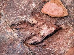 Both cozy and scenic, it's located just a few miles north of vernal, utah. Red Fleet State Park Wikipedia